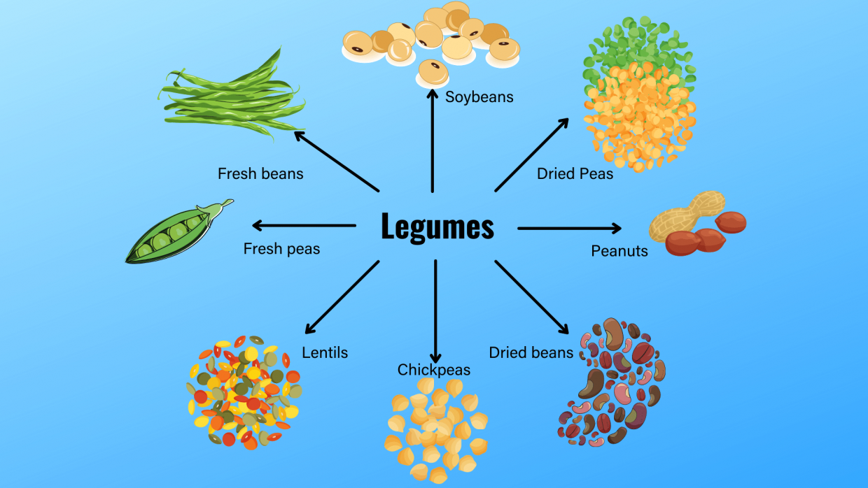 Legumes: A RAINBOW of nutrition