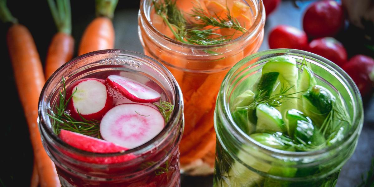 cucumber carrots radishes vinegar salt dill garlic