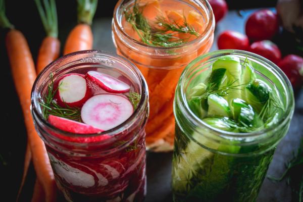 cucumber carrots radishes vinegar salt dill garlic