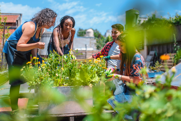 group working together to garden