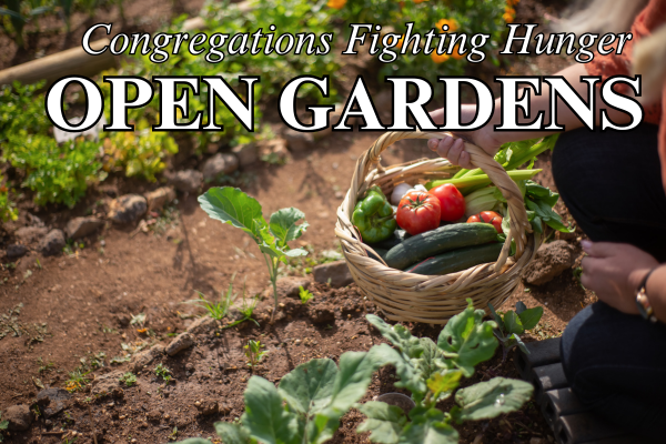 Photo of someone picking produce in a garden with Congregations Fighting Hunger Open Garden text